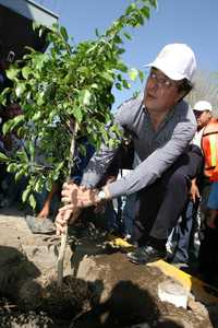 Ayer, Marcelo Ebrard sembró arbolitos y realizó otras faenas durante la Caravana de la limpieza, en la delegación Iztapalapa
