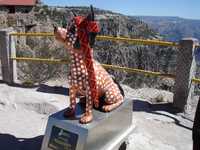 Figuras de perros chihuahueños vestidos a la usanza tradicional de los tarahumaras fueron colocadas en el mirador de las Barrancas del Cobre. Según las autoridades locales, es un "homenaje" a los pueblos indígenas del estado, sus usos y costumbres