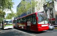 Autobuses de hasta 12 metros de largo entrarán a Reforma para sustituir a los microbuses