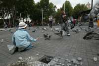 Ayer comenzaron los trabajos de remodelación del jardín Hidalgo, en Coyoacán