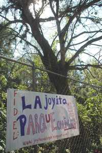 Aunque el gobierno de Veracruz negó autorización para construir un centro comercial, un hospital y residencias en el predio La Joyita, en Jalapa, colonos insistirán en que esta zona sea reserva natural