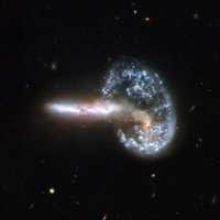 Arp 148 aparece en esta toma del telescopio Hubble luego de una colisión entre dos galaxias que dio como resultado una galaxia en forma de anillo y su acompañante de larga cauda. Arp 148 tiene el sobrenombre de objeto de Mayall y está localizada en la constelación de la Osa Mayor, aproximadamente a 500 años luz de distancia