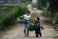 Niños llevan vegetales al término de la jornada en Tecpan, Guatemala, el 5 de mayo
