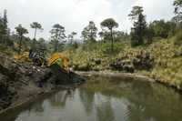 Aspecto de la Microcuenca de Agua de Leones, ubicada en Cuajimalpa, donde se realizan trabajos de mejoramiento