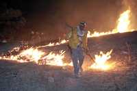 Un incendio en el bosque La Primavera, en Jalisco, dañó hace algunos días unas mil hectáreas de la zona, según informó la Conafor