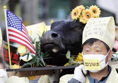 Más de una semana de protestas en Corea del Sur Más de una semana de protestas en Corea del Sur