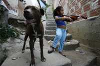 Yuretci Aguilar practica el violín acompañada de su perro Chocolate afuera de su casa