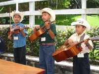 Los Huastequitos de la Sierra de Totonacapan fue uno de los tríos infantiles que más admiración causó en el encuentro de Tepetzintla, por su solemne forma de tocar. En la imagen, Miguel Domingo, de 11 años; Jesús Domingo, de 12, y Roberto López, de nueve