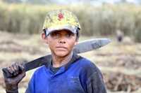 Jovencito empleado en la cosecha de caña de azúcar en Tenosique, Tabasco