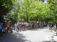Miles de personas buscan entrar a las albercas de Madrid