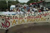 Aspecto de la marcha de comuneros contra la presa de La Parota