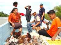 Una familia del municipio de Palizada, Campeche, fue rescatada junto con sus aves de corral y otras pertenencias luego del desbordamiento del río del mismo nombre, que provocó inundaciones en más de 400 viviendas ubicadas en las márgenes