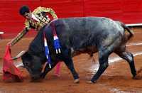 El joven michoacano Juan Chávez logró ceñidos pases a 1908, toro con toda la barba, cárdeno claro