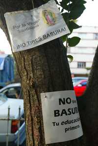 Carteles con la imagen de la Virgen de Guadalupe y leyendas diferentes que exhortan a transeúntes a no tirar basura fueron colocados por vecinos en los árboles de las jardineras ubicadas en Diagonal San Antonio, casi esquina con Anaxágoras, cerca de la estación Etiopía del Metro