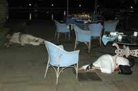 Cadáveres yacen cerca de la alberca del hotel Taj, atacado el miércoles por un grupo islamita