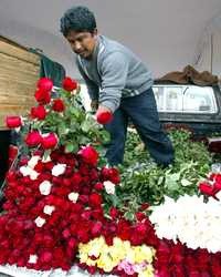 Agricultores de los pueblos de San Gregorio Atlapulco y San Luis Tlaxaltemalco cambiarán las begonias, las dalias, las rosas y las nochebuenas por los jitomates, las lechugas, las acelgas y los rábanos