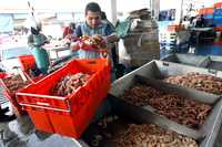 Comerciantes de pescado y mariscos del mercado de La Viga afirmaron que a pesar del paro de los industriales pesqueros no habrá escasez en la ciudad de México