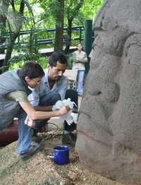 La labor de los especialistas del INAH que restauran las piezas olmecas dañadas en el Parque Museo La venta, en Villahermosa, se ha visto obstaculizada por las incesantes lluvias