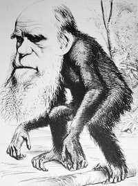 Esta caricatura fue publicada por Hornet el 22 de marzo de 1871, tras la aparición de El origen del hombre. La imagen fue tomada del libro Darwin, la historia de un hombre extraordinario