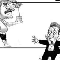 Mostrar el cartón