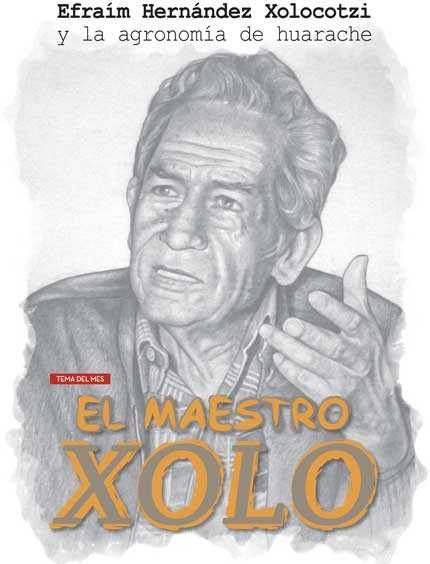 El maestro Xolo