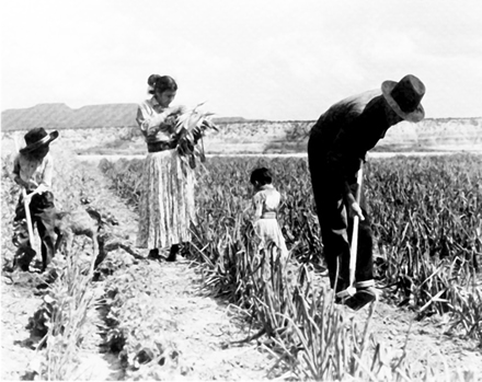 ojarasca jornada