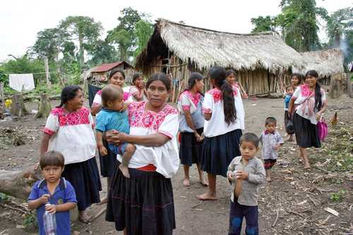 La Jornada Padece Hambre Casi La Mitad De Indigenas En Mexico