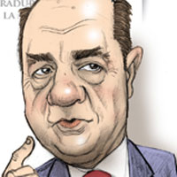 Mostrar el cartón