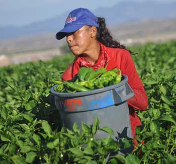 Resultado de imagen para Mujeres del campo en México