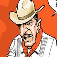 Mostrar el cartón
