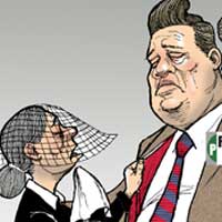 Mostrar el cartón