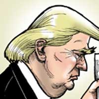 Mostrar el cartón