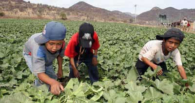 Resultado de imagen de esclavos migrantes mexico"