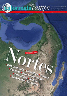 Nortes