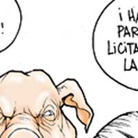 Mostrar el cartón