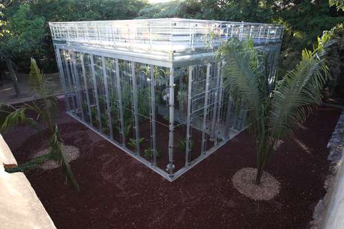  Invernadero del Jardín Etnobotánico de Oaxaca recibe prestigioso galardón en EU 