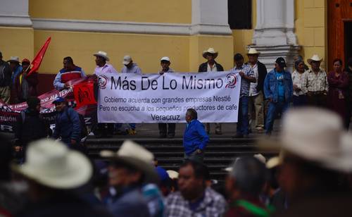 Caficultores de cinco estados, contra planta de Nestlé