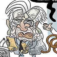 Mostrar el cartón