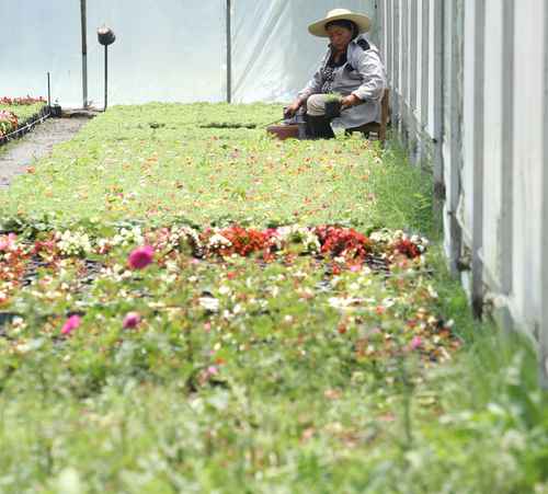 Denuncian guerra sucia contra asambleas de pueblos originarios en Xochimilco