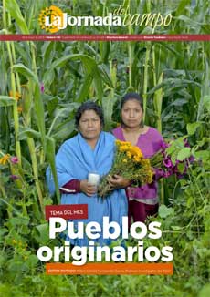 Pueblos originarios
