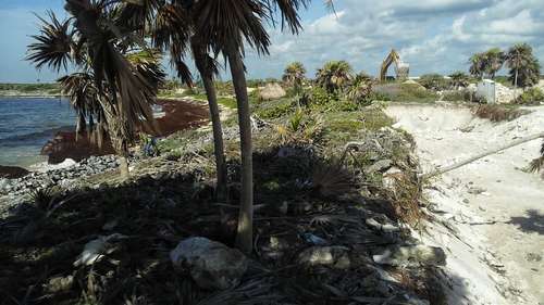 Denuncia contra Grupo Posadas por atentar contra tortugas en la playa de Chemuyil