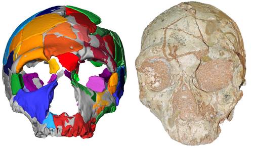 El Homo sapiens no africano más antiguo era griego, revela nueva investigación