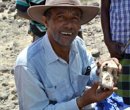 Cráneo casi completo modifica el entendimiento de la evolución humana 