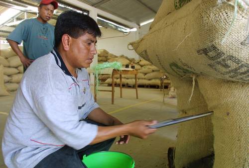 Brasil y Vietnam consolidan su dominio en el mercado de café
<br> 