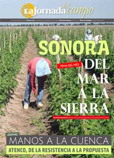 SONORA DEL MAR A LA SIERRA