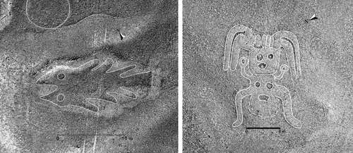 Inteligencia artificial y otras tecnologías permiten descubrir 142 geoglifos en Nazca