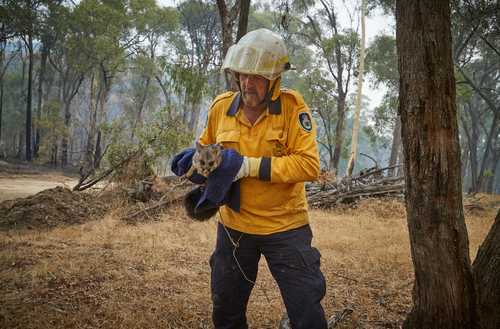 Incendios en Australia, símbolo de la crisis climática 