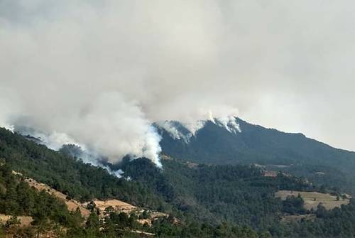 
<br>Fuera de control, quemas forestales en el Edomex, Oaxaca y Puebla