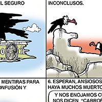 Mostrar el cartón