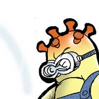 Mostrar el cartón